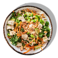The Ika Bowl Vegains Bowl 